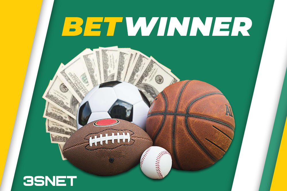 Discover the Excitement with BetWinner